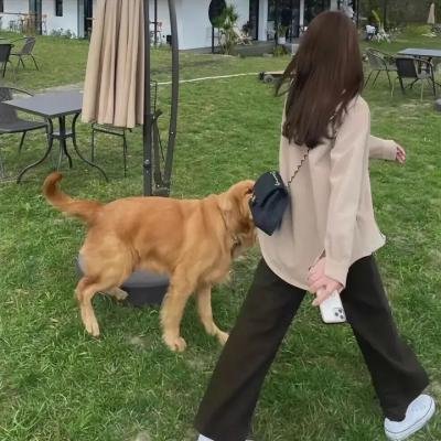 我们撞到外星人